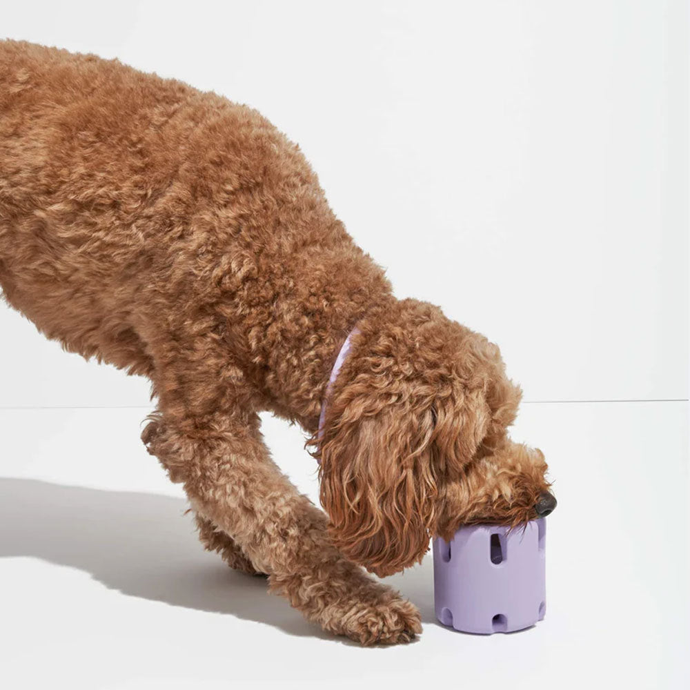 Dog Tennis Cup Natural Rubber Bite-resistant Toys Pi-Mart