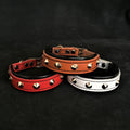 The "Superstar" puppy dog collar - SJB-DIAMOND ELITES