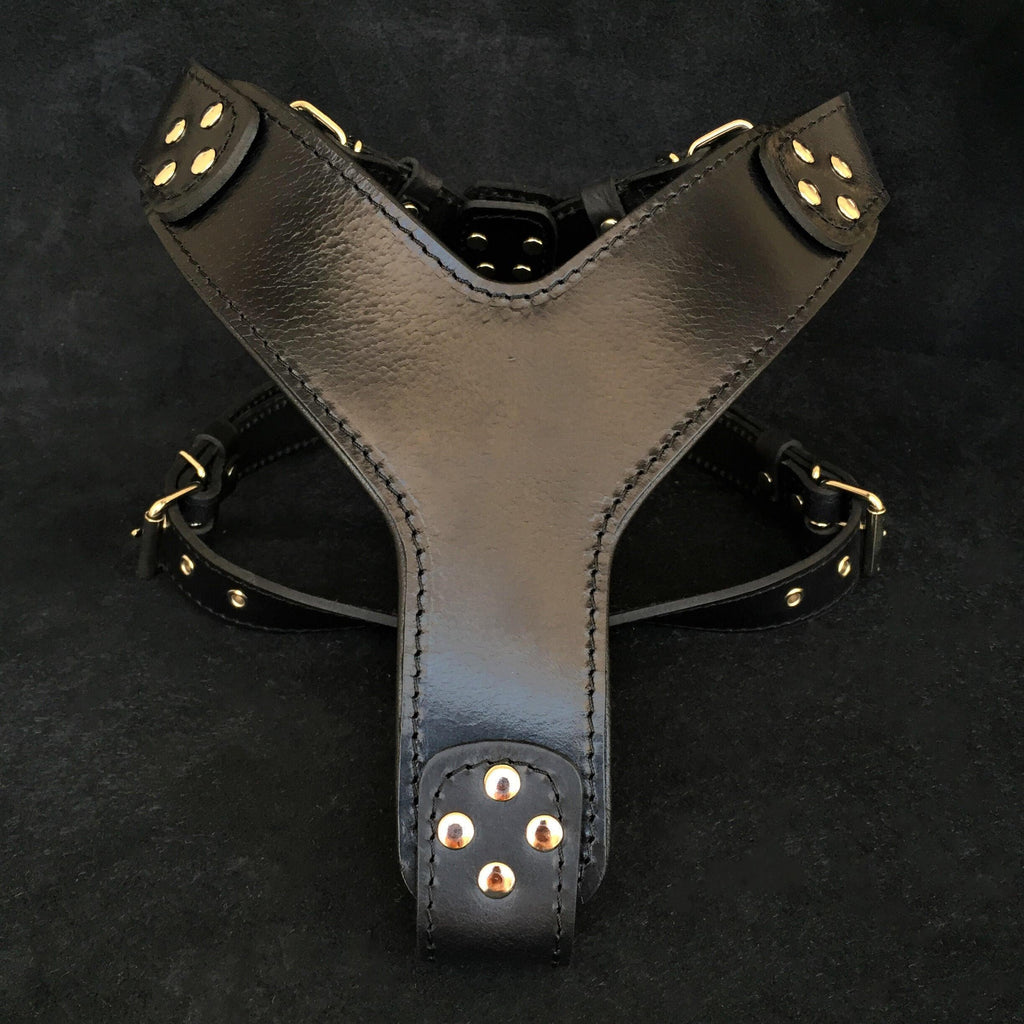 The ''Style'' harness Black - SJB-DIAMOND ELITES