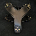 The ''Style'' harness Black - SJB-DIAMOND ELITES