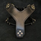 The ''Style'' harness Black - SJB-DIAMOND ELITES