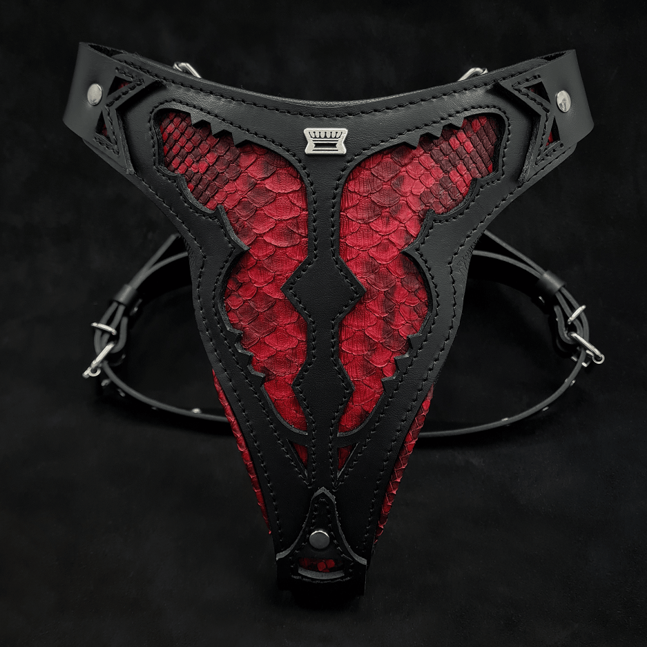 The ''Red Dragon'' harness - SJB-DIAMOND ELITES