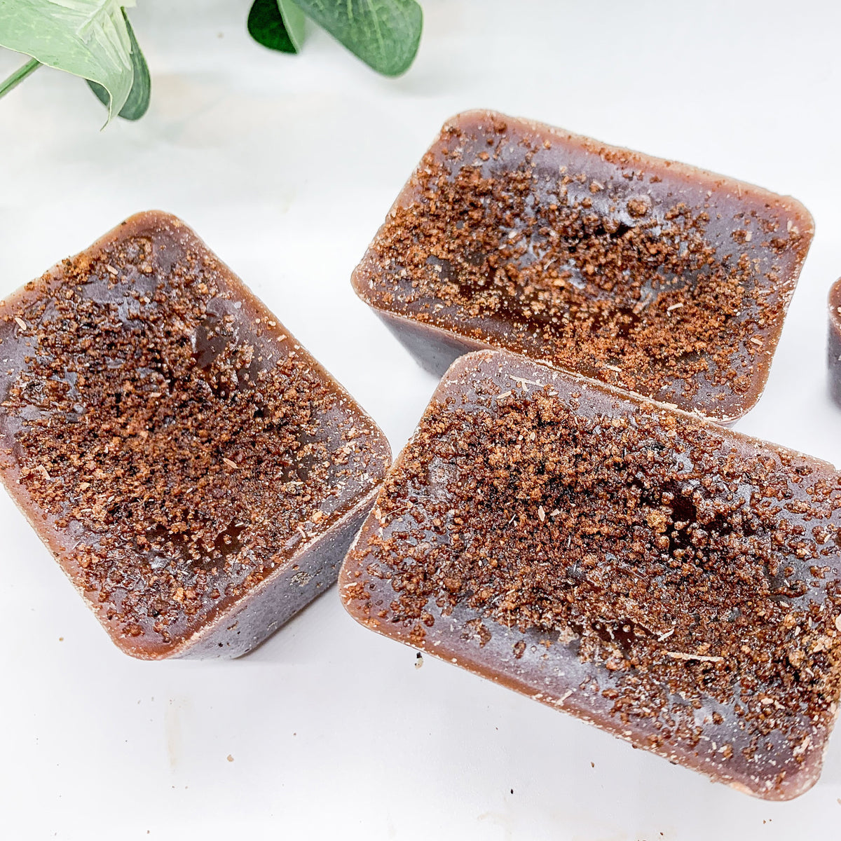 Gingerbread Spiced Latte XL Wax Melts - Warm Gingerbread Latte Scent BandsCo Straps