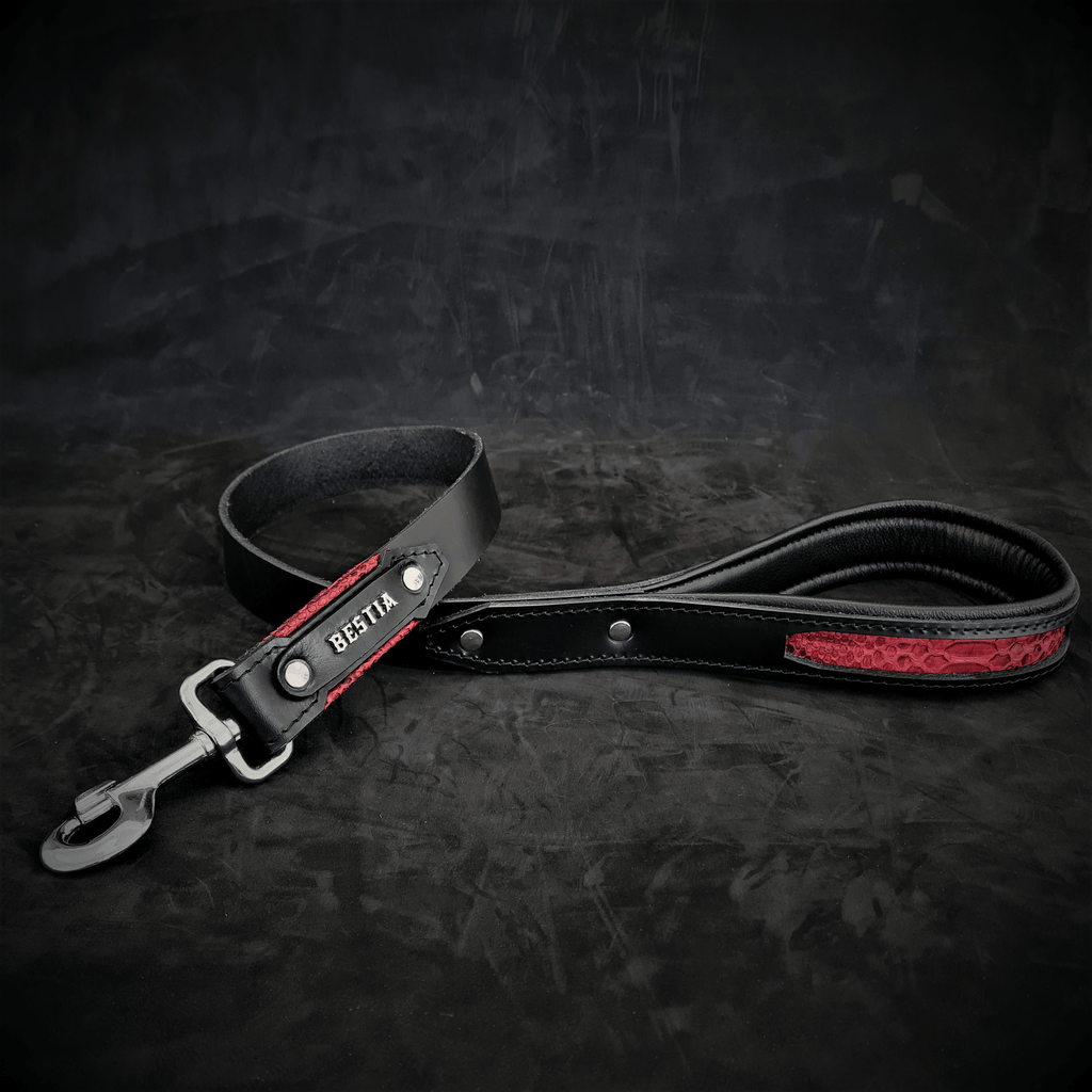 The ''Red Dragon'' leash - SJB-DIAMOND ELITES