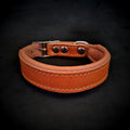 Clean Puppy Collar - SJB-DIAMOND ELITES