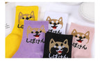 2022 New Fashion Cartoon Patterned Short Funny Cotton Socks Cute Animal Dinosaur Socks For Ladies Funny College Wind Concise Socks For Men And Women Stevvex