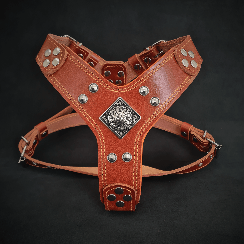 The ''Eros'' harness brown Small to Medium Size - SJB-DIAMOND ELITES