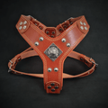The ''Eros'' harness brown Small to Medium Size - SJB-DIAMOND ELITES