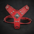 The ''Eros'' harness red Small to Medium Size - SJB-DIAMOND ELITES