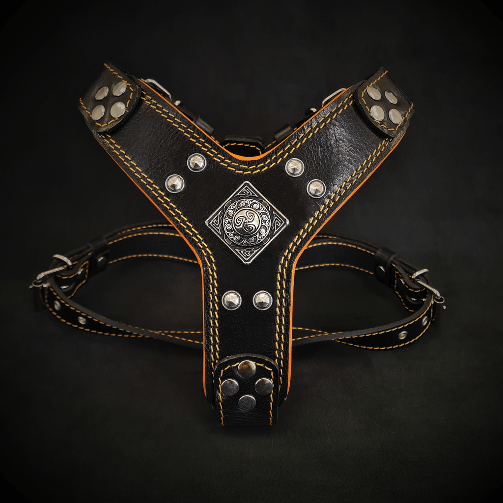 The ''Eros'' harness Black & Orange Small to Medium Size - SJB-DIAMOND ELITES