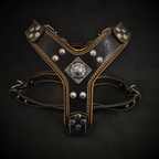 The ''Eros'' harness Black & Orange Small to Medium Size - SJB-DIAMOND ELITES