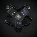 The ''Eros'' harness black Medium Size - SJB-DIAMOND ELITES
