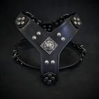 The ''Eros'' harness black Medium Size - SJB-DIAMOND ELITES