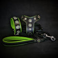 The ''Bijou'' SET -  Collar, Harness, Leash. Green - SJB-DIAMOND ELITES