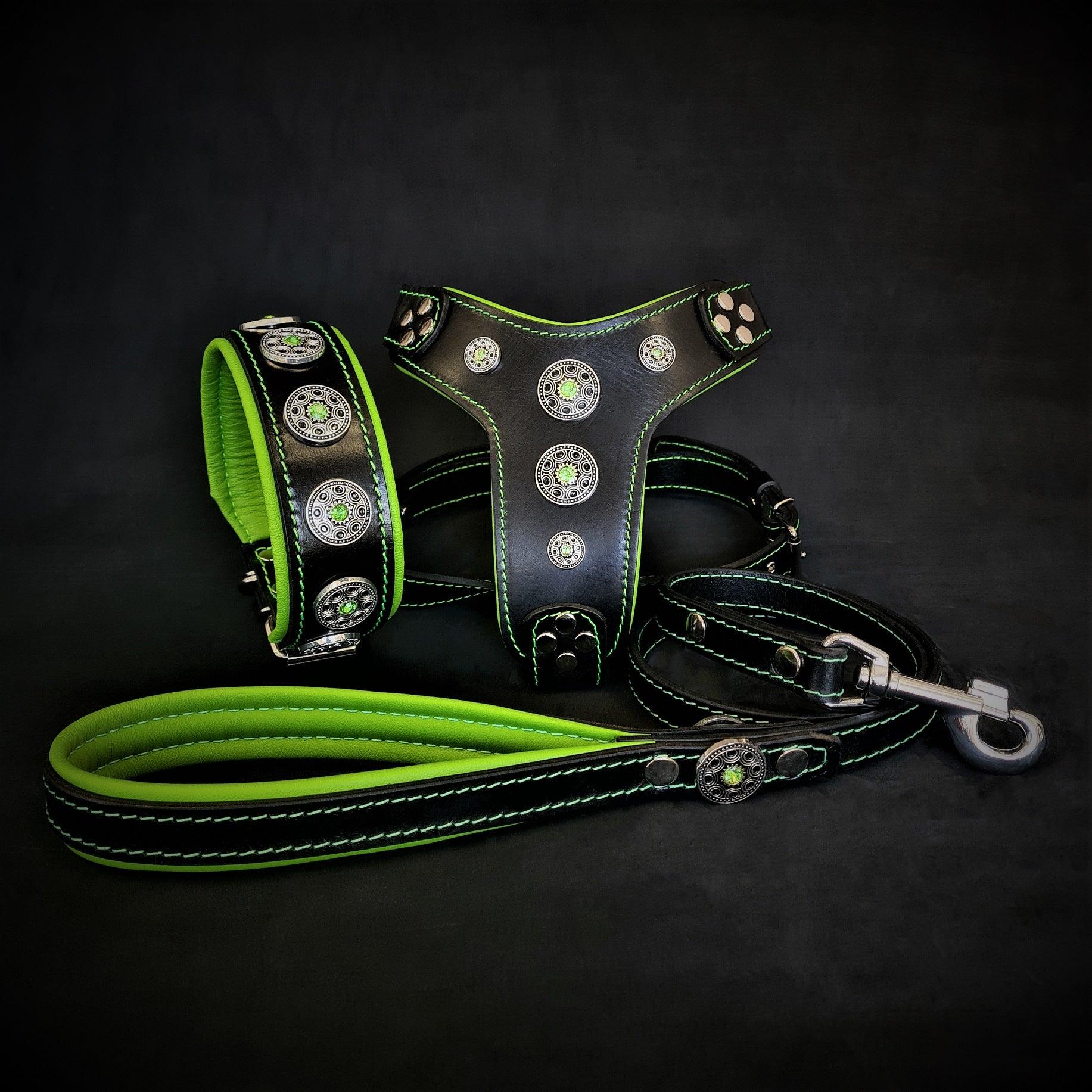 The ''Bijou'' SET -  Collar, Harness, Leash. Green - SJB-DIAMOND ELITES