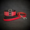 The "Star" Set- collar & leash Bestia Dog Gear