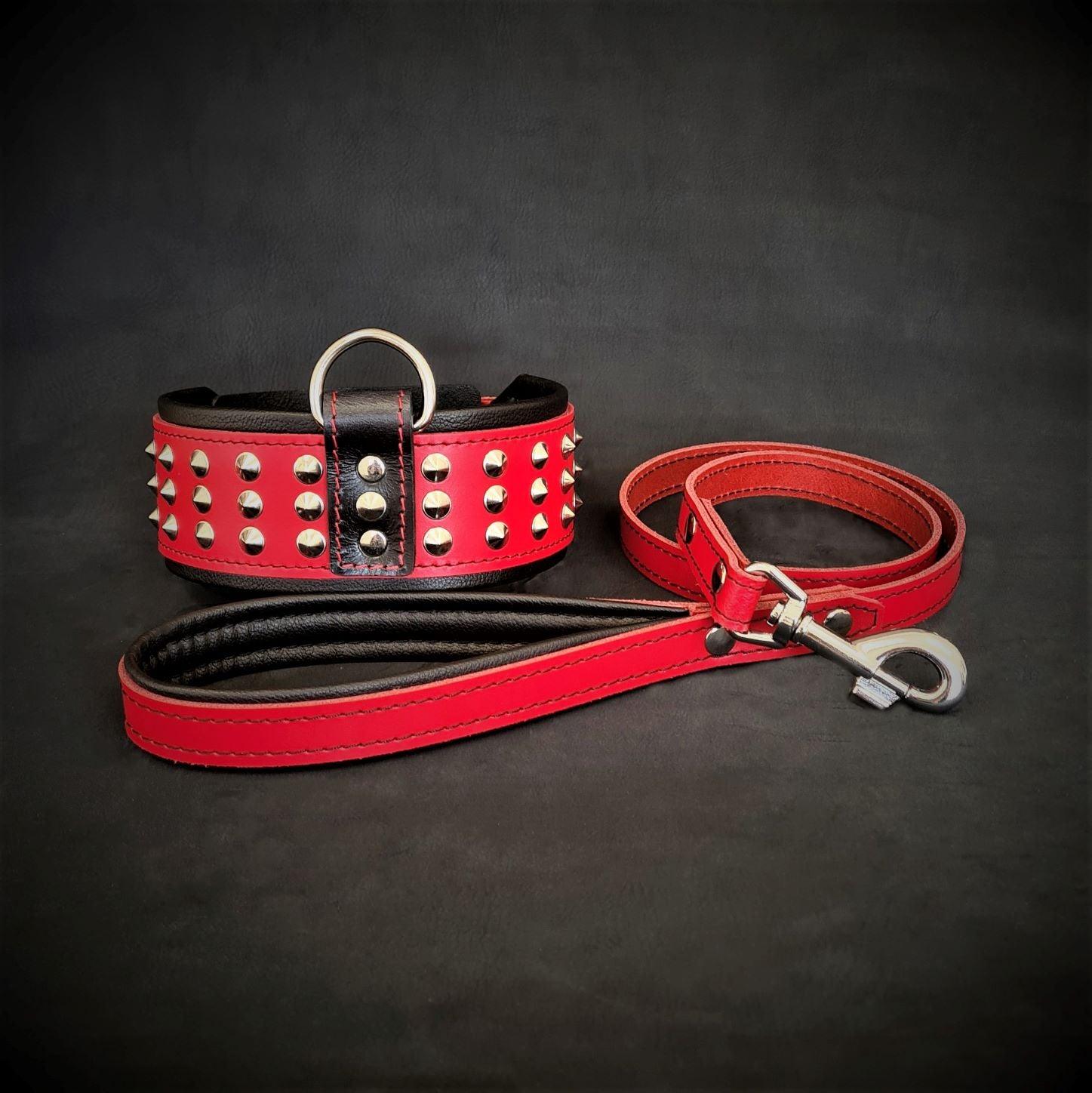 The "Star" Set- collar & leash Bestia Dog Gear