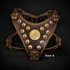The ''Maximus'' harness Brown & Gold Small to Medium Size - SJB-DIAMOND ELITES