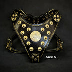 The ''Maximus'' harness Black & Gold  Small to Medium Size - SJB-DIAMOND ELITES