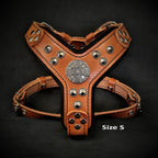 The ''Maximus'' harness brown & silver Small to Medium Size - SJB-DIAMOND ELITES