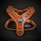 The ''Eros'' harness brown Small to Medium Size - SJB-DIAMOND ELITES