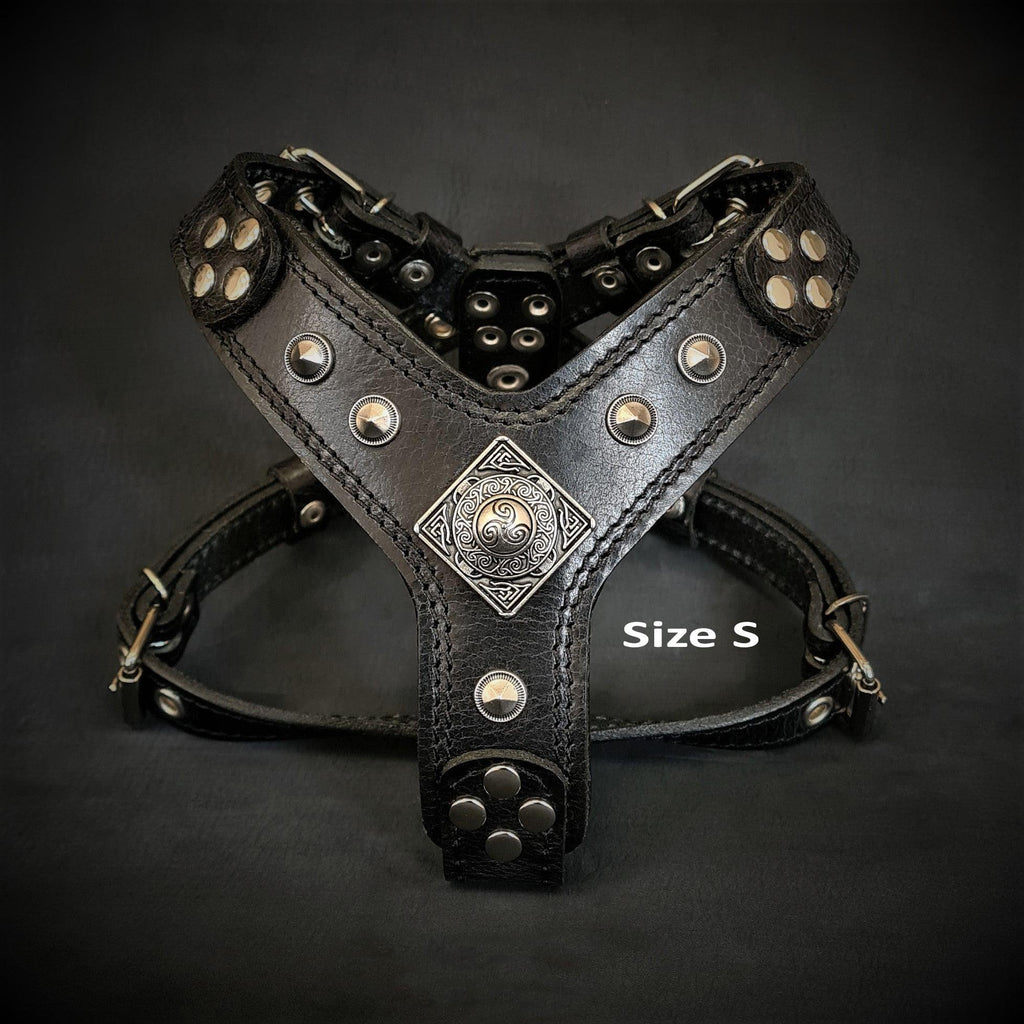 The ''Eros'' harness black Medium Size - SJB-DIAMOND ELITES