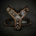 The ''Eros'' harness Black & Orange Small to Medium Size - SJB-DIAMOND ELITES
