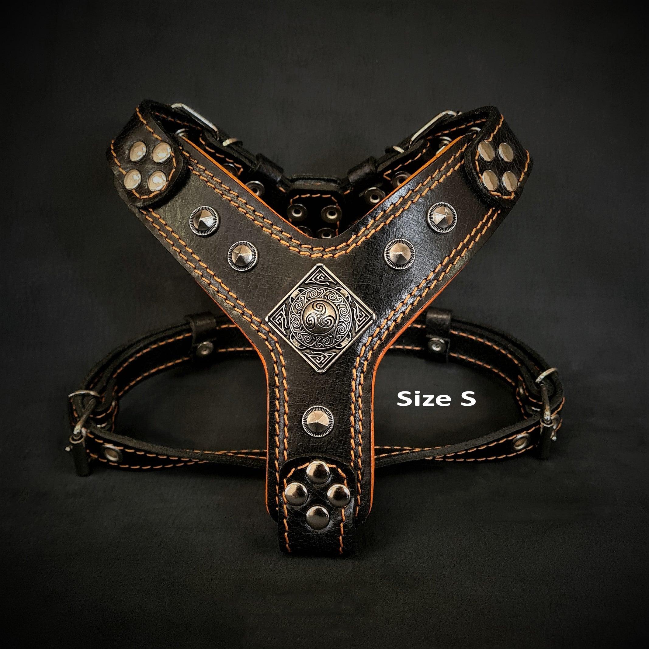 The ''Eros'' harness Black & Orange Small to Medium Size - SJB-DIAMOND ELITES