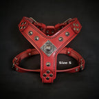 The ''Eros'' harness red Small to Medium Size - SJB-DIAMOND ELITES