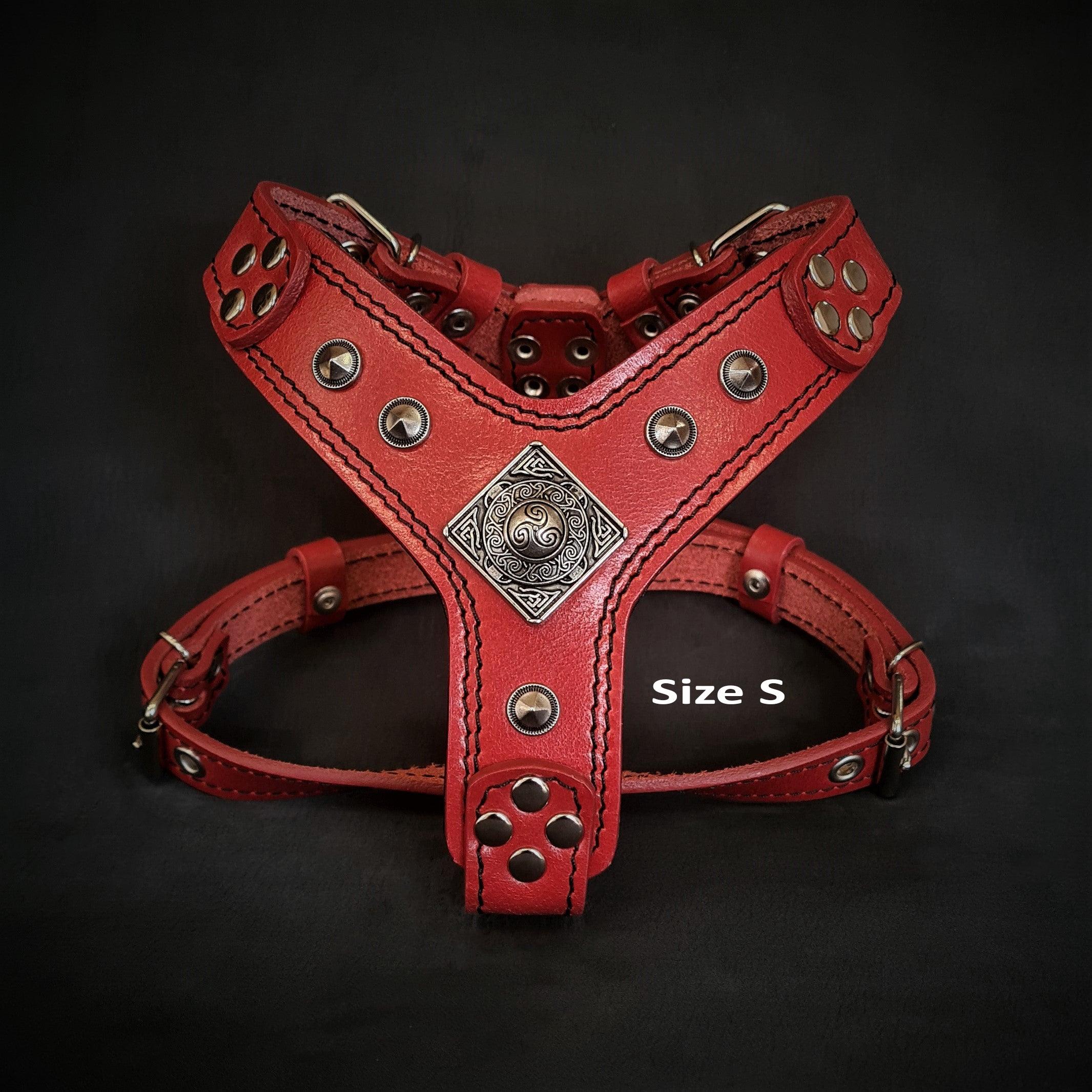 The ''Eros'' harness red Small to Medium Size - SJB-DIAMOND ELITES
