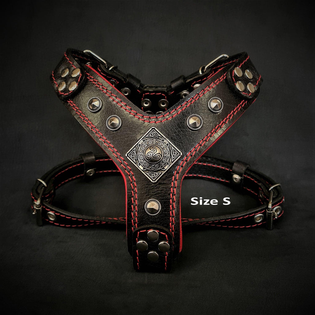 The ''Eros'' harness Black & Red Small to Medium Size - SJB-DIAMOND ELITES