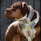 THE CANDY Harness Bestia Dog Gear