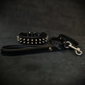 "Frenchie" Set- collar & leash. Black - SJB-DIAMOND ELITES
