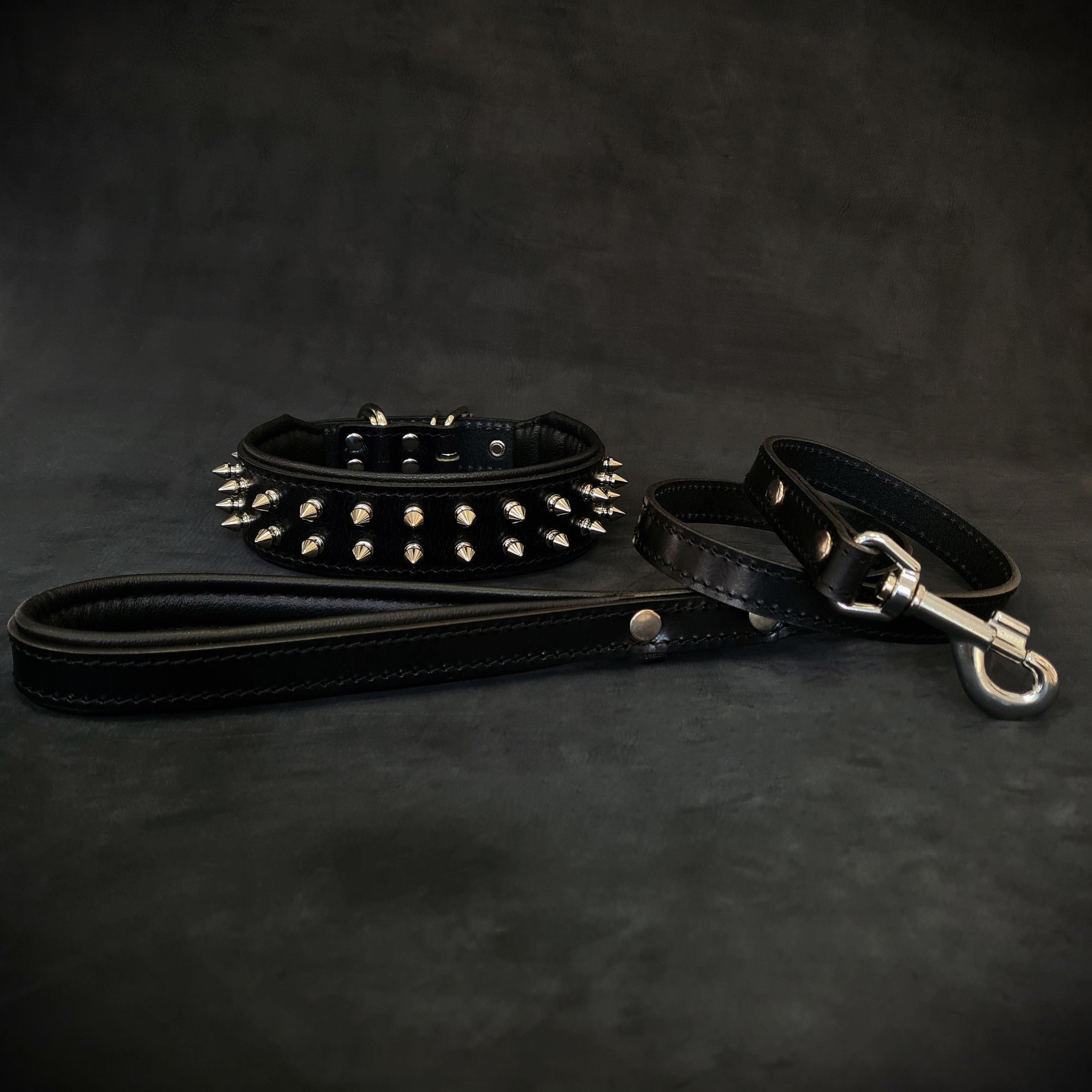 "Frenchie" Set- collar & leash. Black - SJB-DIAMOND ELITES