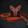 "EROS" BIG dog SET- Harness - collar - lead. Brown & Orange Bestia Dog Gear