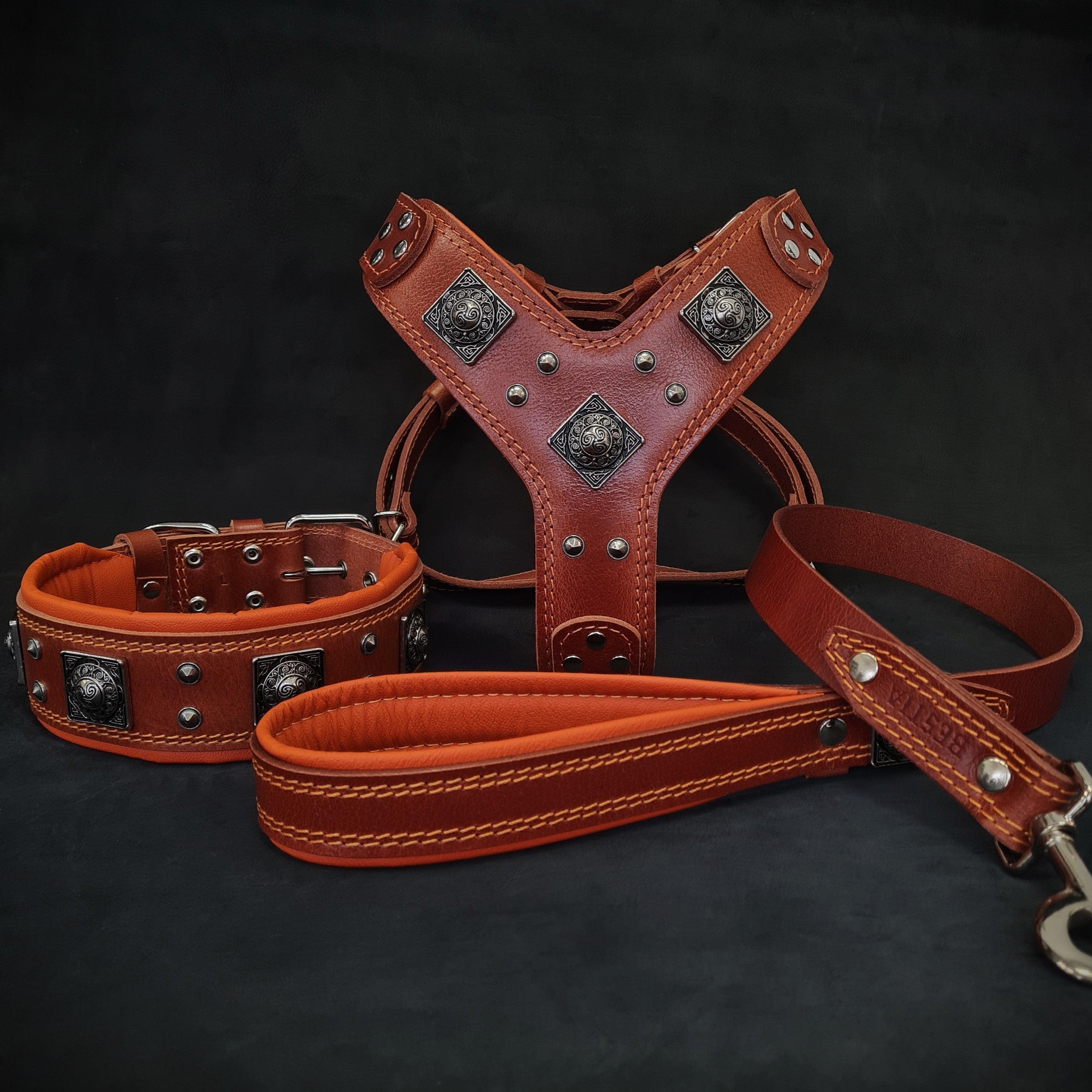 "EROS" BIG dog SET- Harness - collar - lead. Brown & Orange Bestia Dog Gear
