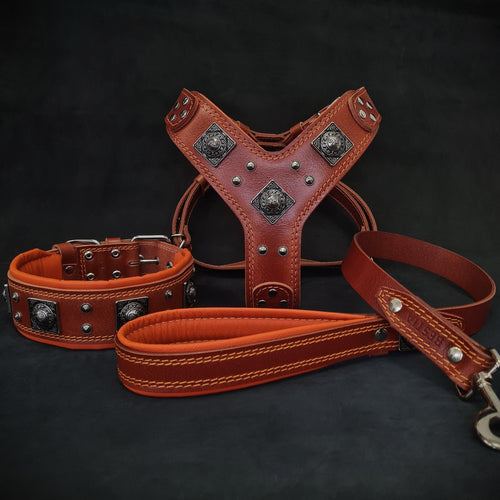 "EROS" BIG dog SET- Harness - collar - lead. Brown & Orange Bestia Dog Gear