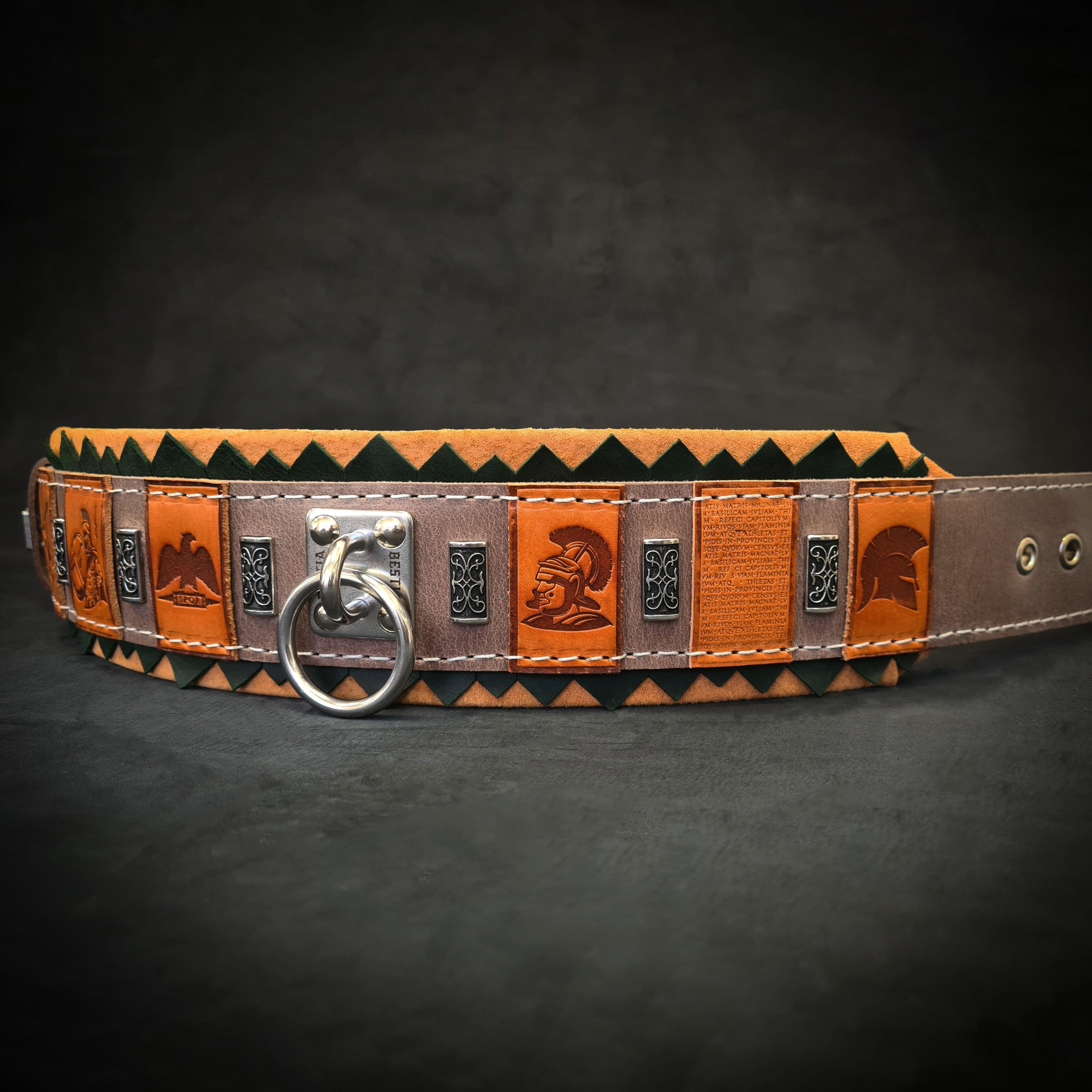 The ''SPQR'' Dog Collar - SJB-DIAMOND ELITES