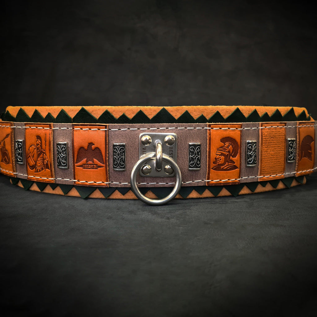 The ''SPQR'' Dog Collar - SJB-DIAMOND ELITES