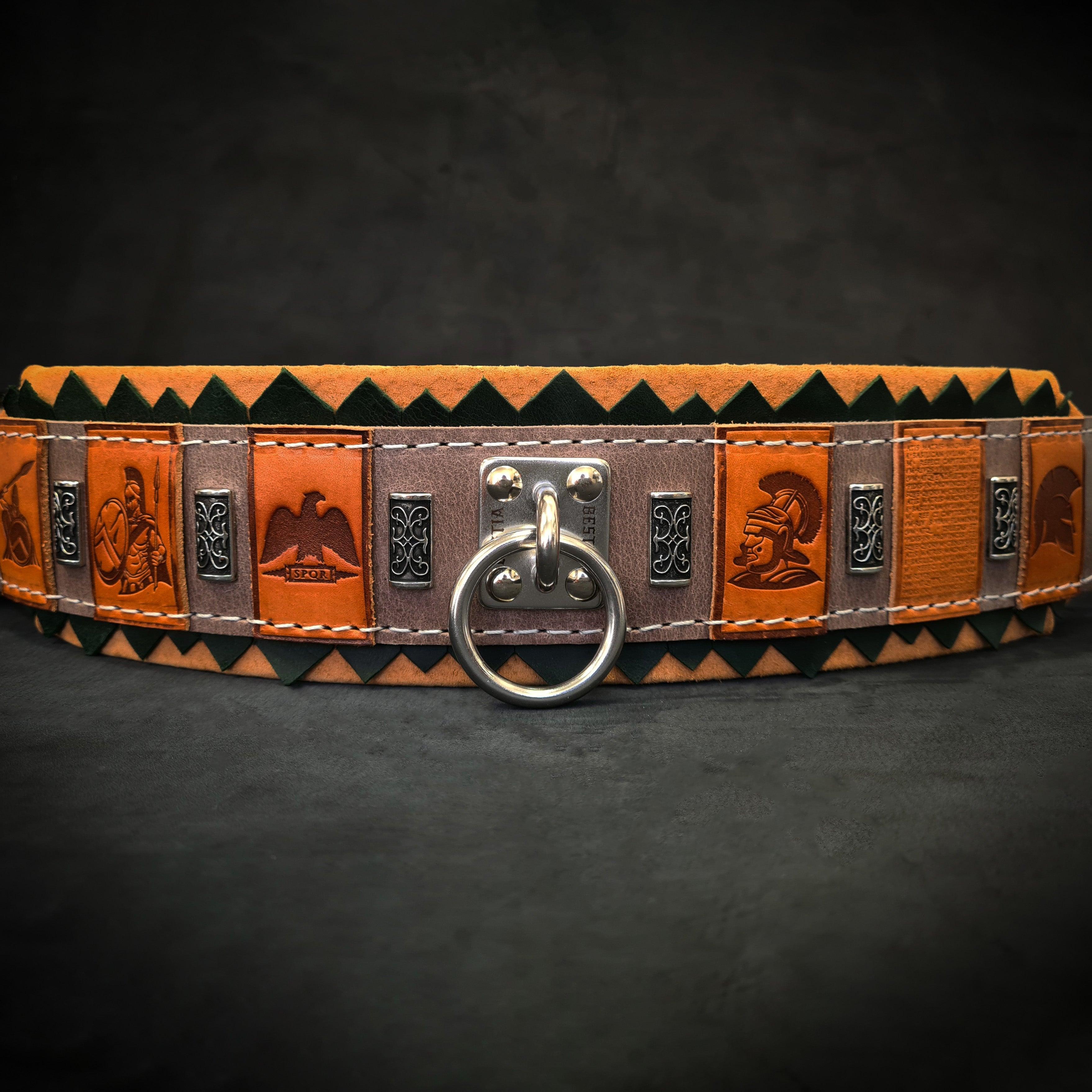 The ''SPQR'' Dog Collar - SJB-DIAMOND ELITES