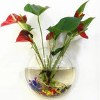 Wall-Mounted Fish Bowl Pi-Mart