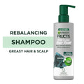 Garnier Fructis Pure Clean Hair Reset Rebalancing Charcoal Shampoo; 12 fl oz EasyOptionXY LLC