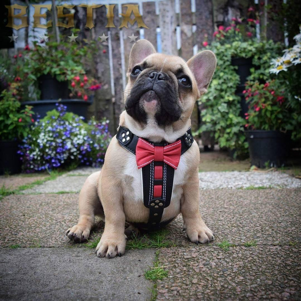 The "Bowtie" handmade leather harness black Small to Medium Size - SJB-DIAMOND ELITES