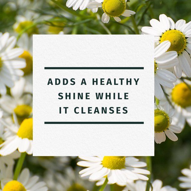 Herbal Essences Shine Shampoo; Chamomile; 29.2 fl oz EasyOptionXY LLC