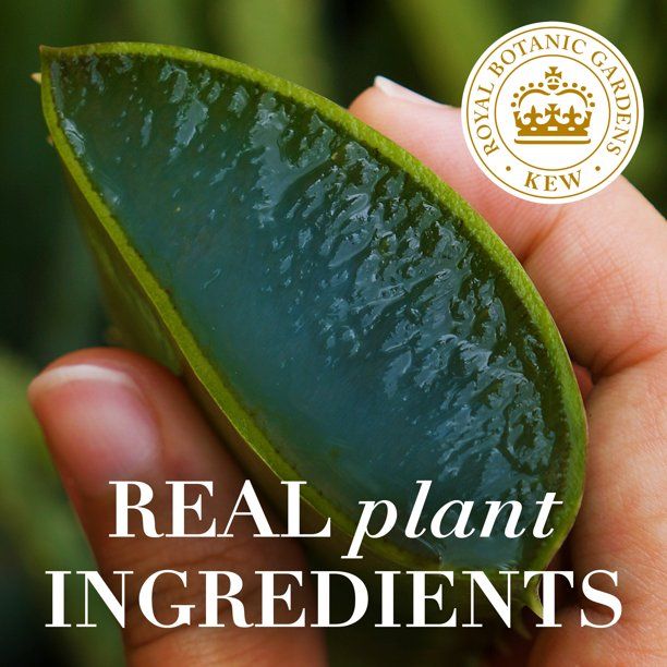 Herbal Essences Bio:Renew Curly Shampoo; Aloe and Mango; 13.5 fl oz