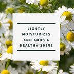 Herbal Essences Chamomile Shine Conditioner; 29.2 fl oz EasyOptionXY LLC