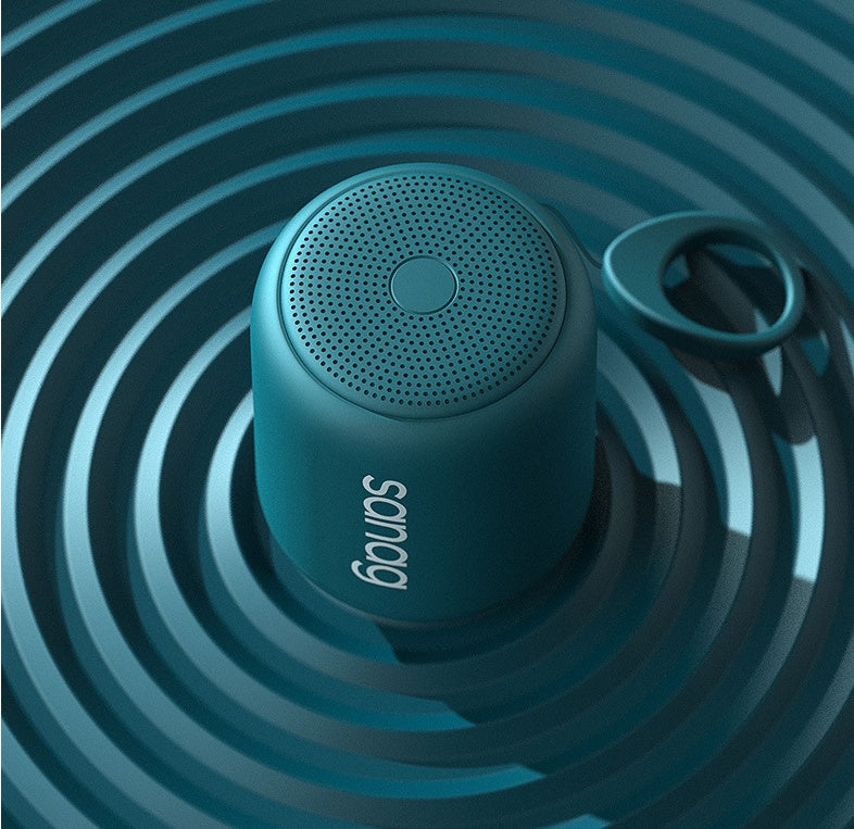 Wireless speaker bass Pi-Mart