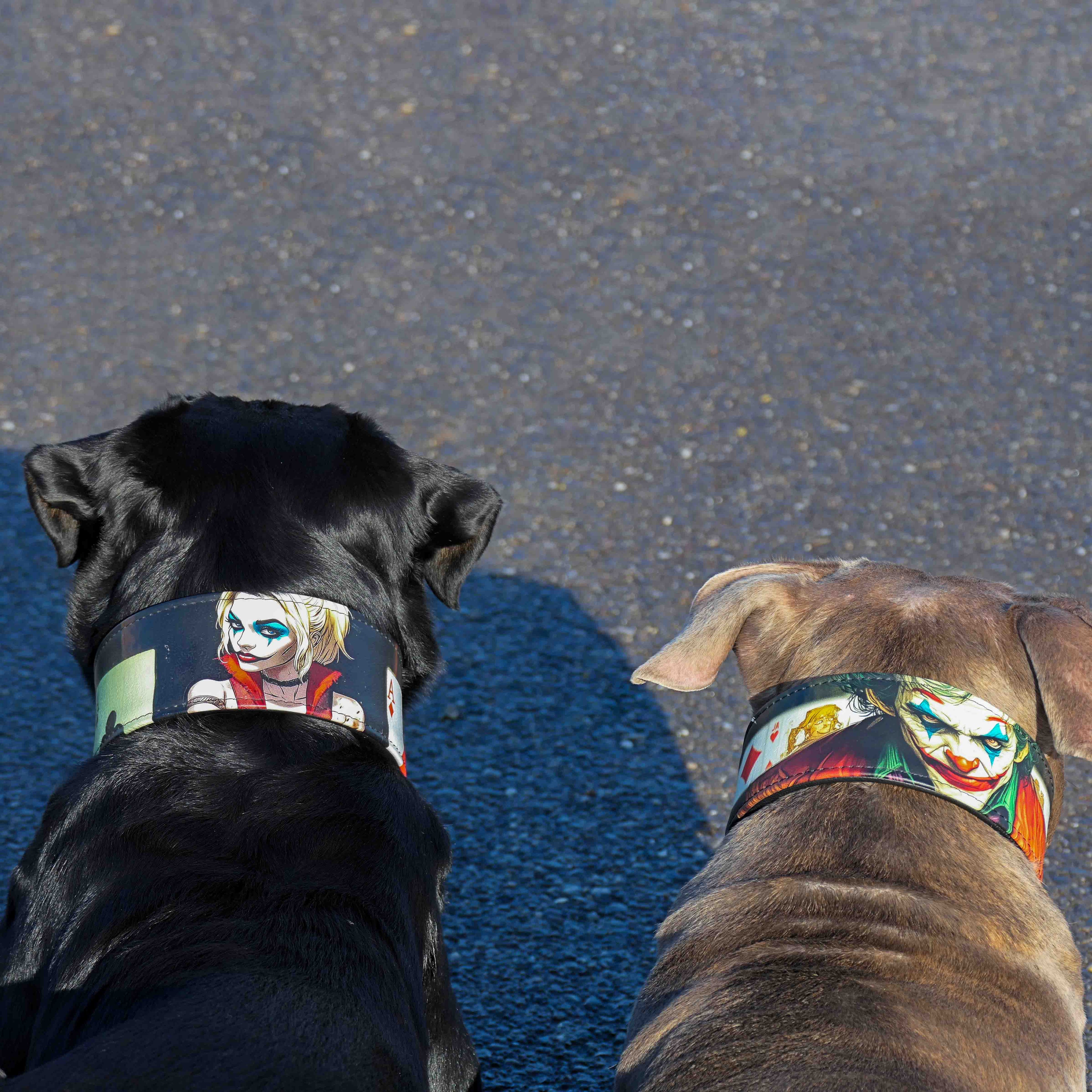 The Joker Limited Collar - SJB-DIAMOND ELITES