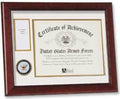 Flags Connections United States Navy Medal And Award Frame. The Military Gift Store