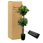 4' Lifelike Bay Olive Topiary Tree In Durable Plastic Pot Lootquake LLC